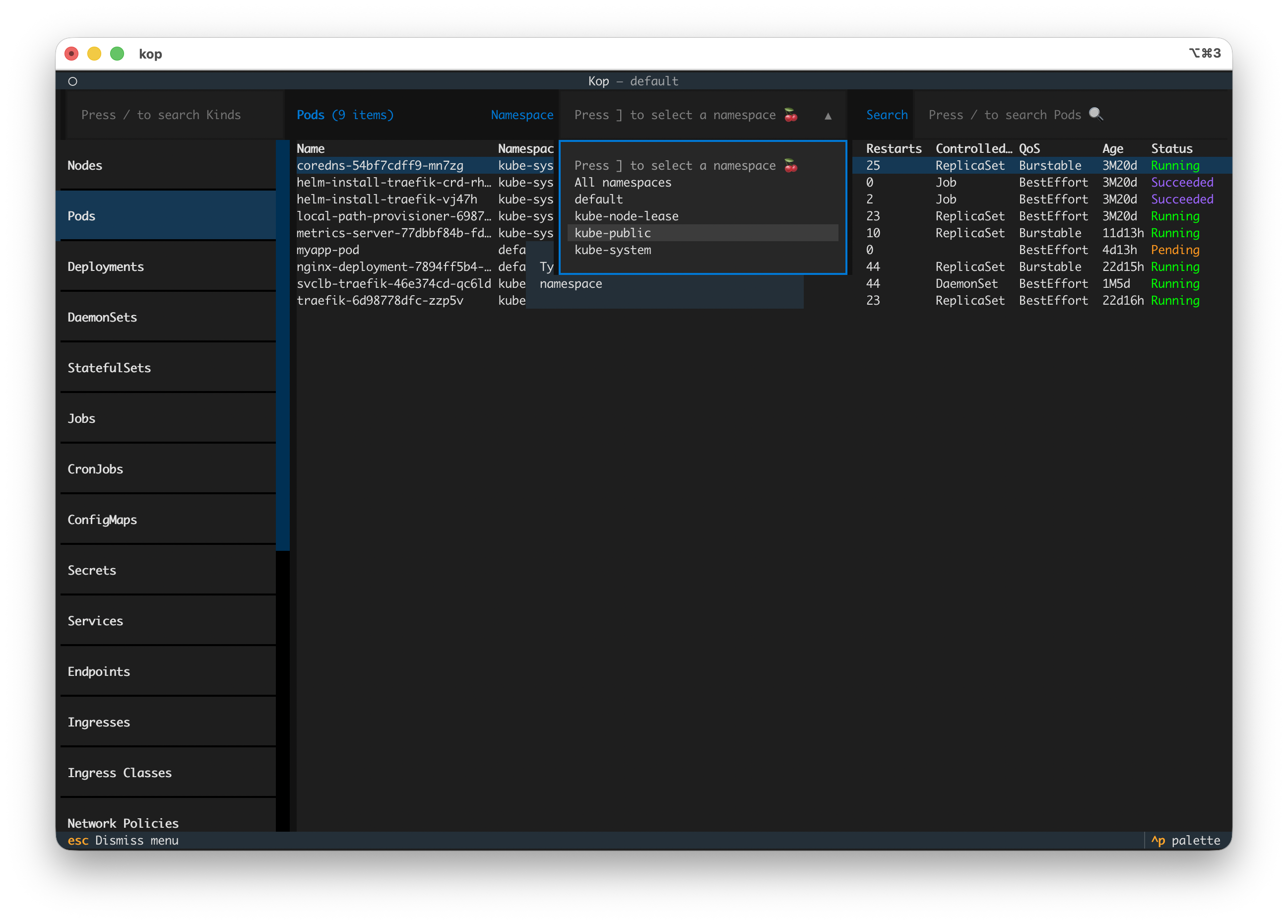 Namespace selector and resource search input